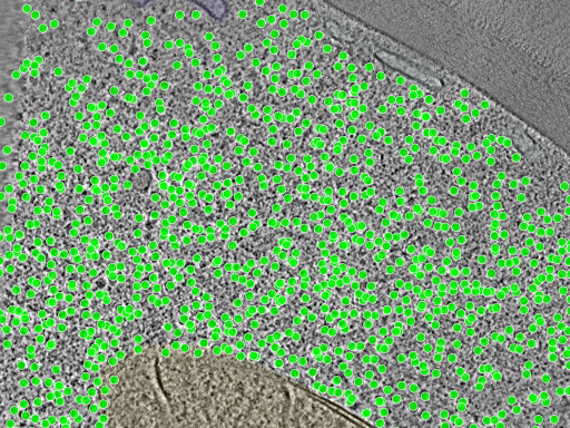 key visualization for TS_0001