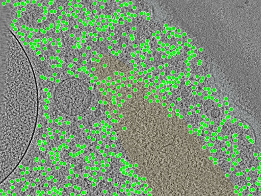 key visualization for TS_0004
