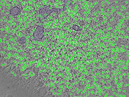 key visualization for TS_0005