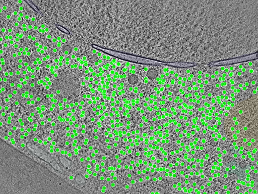 key visualization for TS_0006