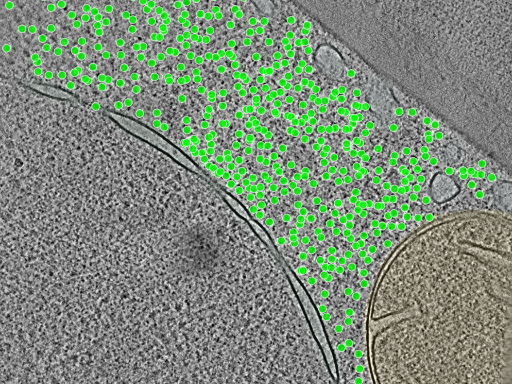key visualization for TS_0007