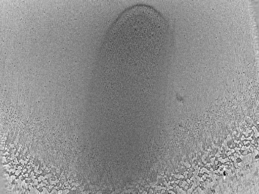 key visualization for dga2017-02-01-29