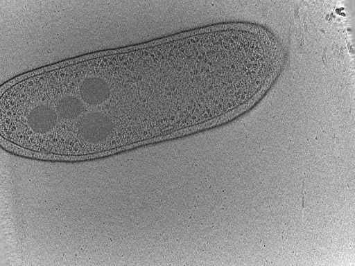 key visualization for dga2017-02-01-30