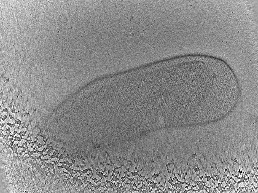 key visualization for dga2017-02-01-31