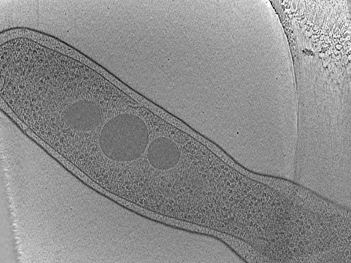 key visualization for dga2017-02-02-25