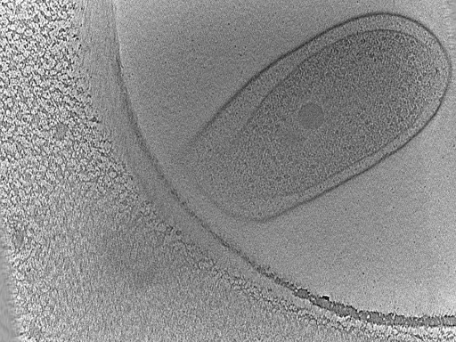 key visualization for dga2017-02-02-26