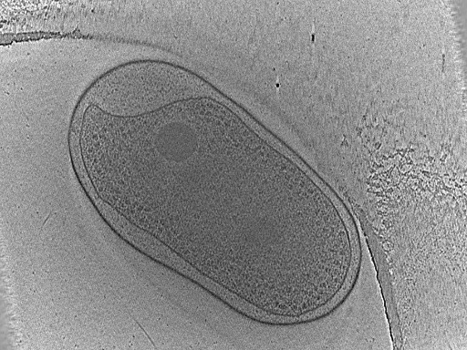 key visualization for dga2017-02-02-27