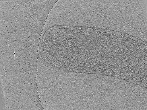 key visualization for dga2016-04-02-109