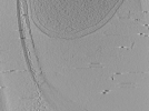 key visualization for aba2015-07-15-52