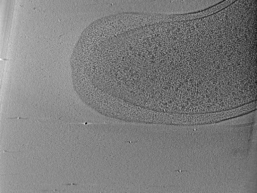 key visualization for aba2014-03-04-12