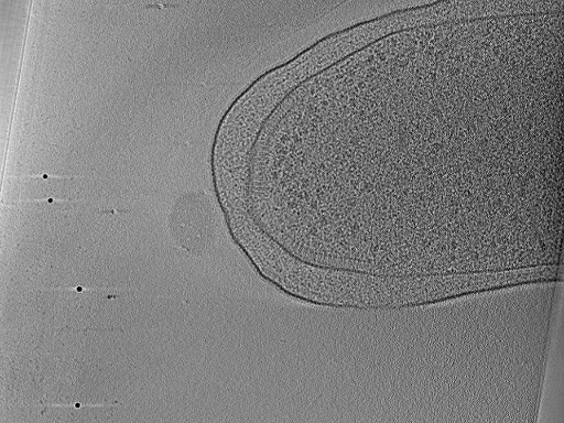 key visualization for aba2014-03-04-18