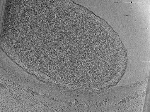 key visualization for aba2014-03-04-20