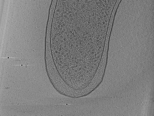 key visualization for aba2014-03-04-21