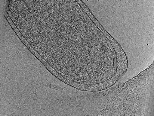 key visualization for aba2014-03-04-23