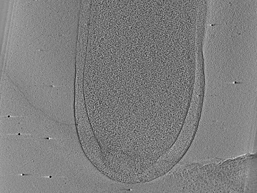 key visualization for aba2014-03-04-24