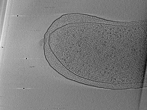 key visualization for aba2014-03-04-4