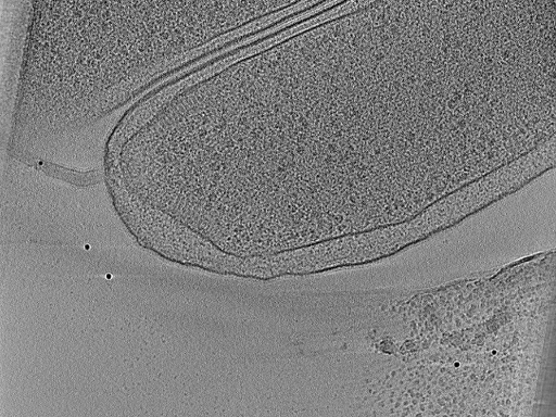 key visualization for aba2014-03-04-7