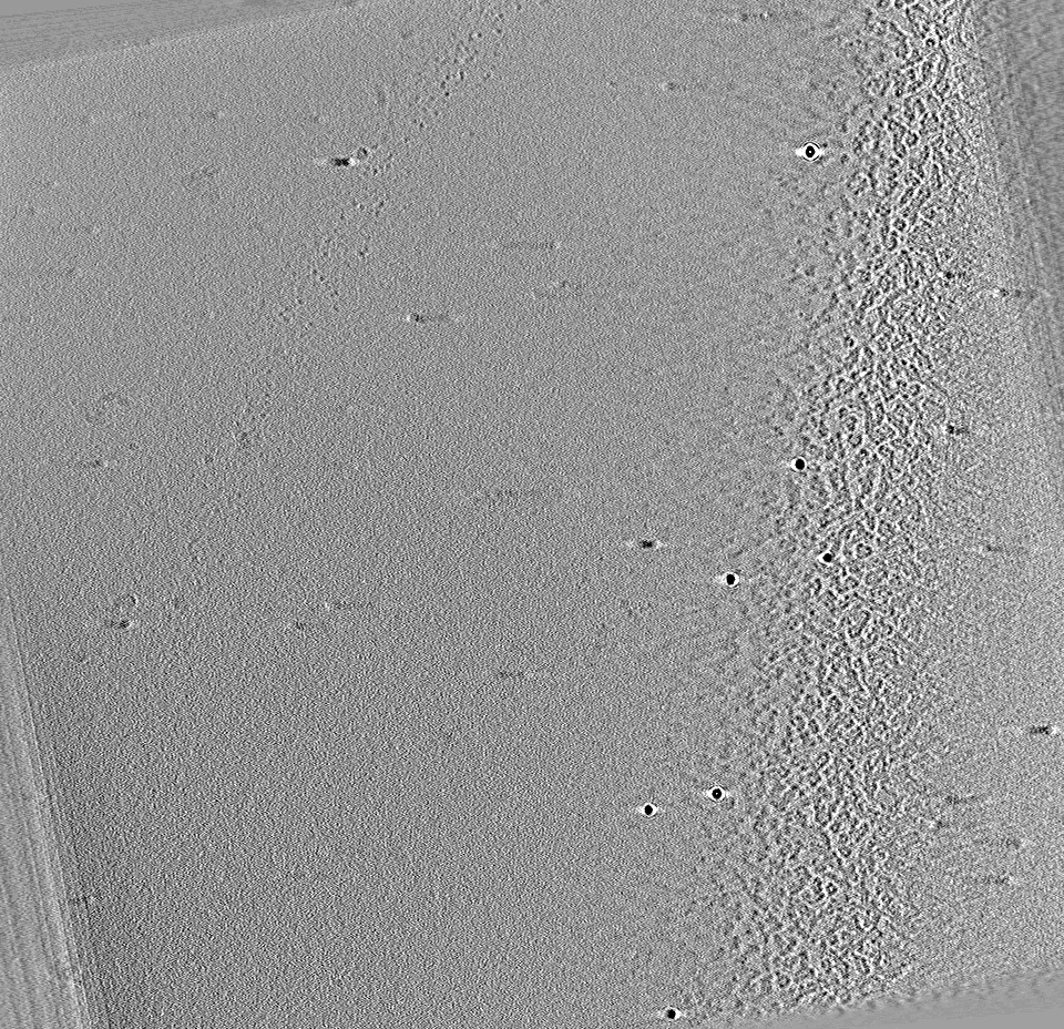 key visualization for P. aeruginosa PAOI delta aer2 pJN105-aer2
