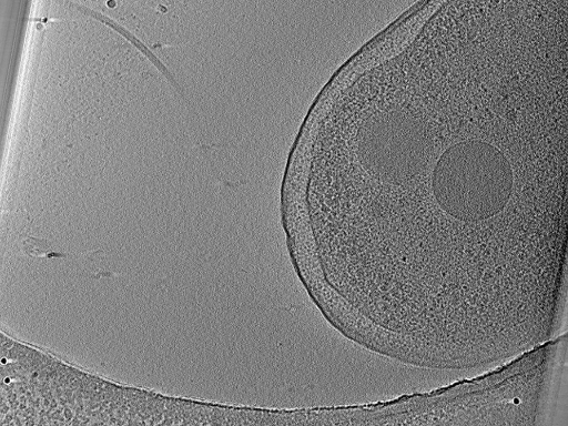 key visualization for aba2014-10-29-10