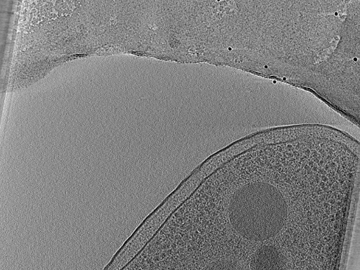 key visualization for aba2014-10-29-11