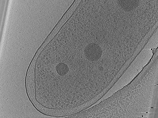 key visualization for aba2014-10-29-14