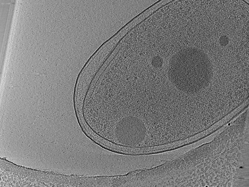 key visualization for aba2014-10-29-15