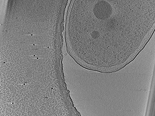 key visualization for aba2014-10-29-19