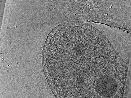 key visualization for aba2014-10-29-20