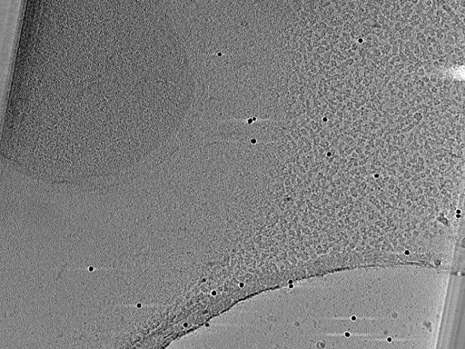 key visualization for aba2014-10-29-24