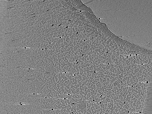 key visualization for aba2014-10-29-26