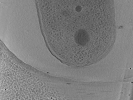 key visualization for aba2014-10-29-28