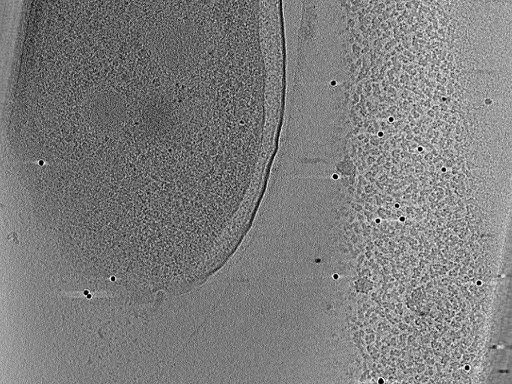 key visualization for aba2014-10-29-3