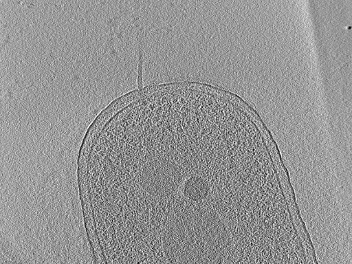 key visualization for aba2014-10-29-30