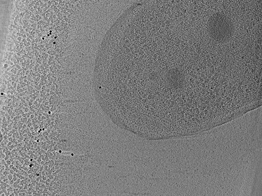 key visualization for aba2014-10-29-32