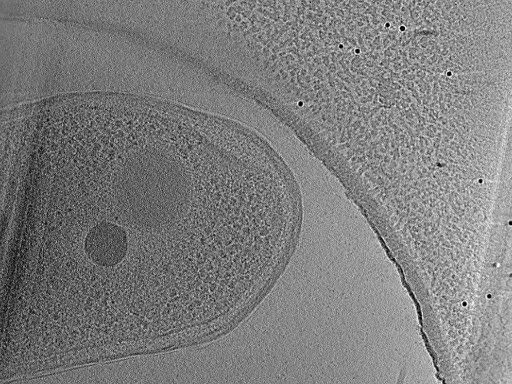 key visualization for aba2014-10-29-33