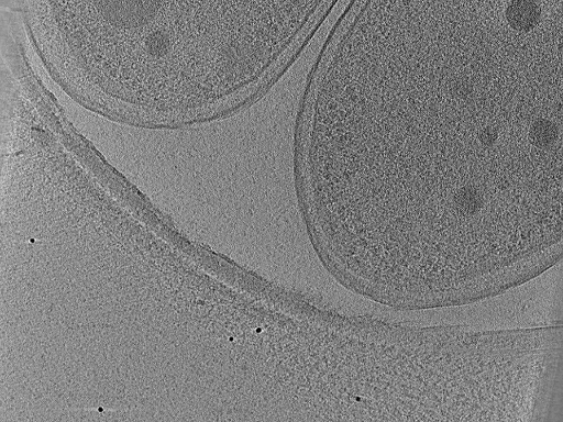 key visualization for aba2015-02-12-27