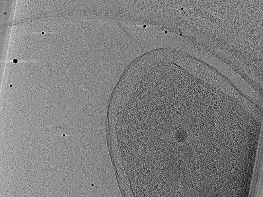 key visualization for aba2015-02-12-29