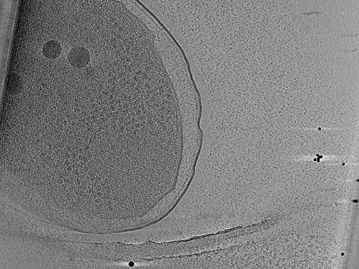 key visualization for aba2015-02-12-5