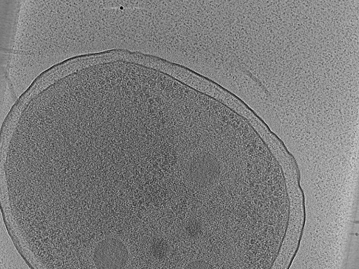 key visualization for aba2015-02-12-8