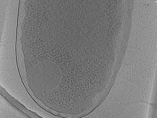 key visualization for aba2015-02-12-9