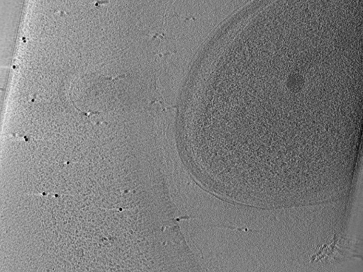 key visualization for aba2015-02-23-13