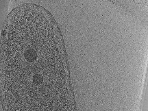 key visualization for aba2015-02-23-15