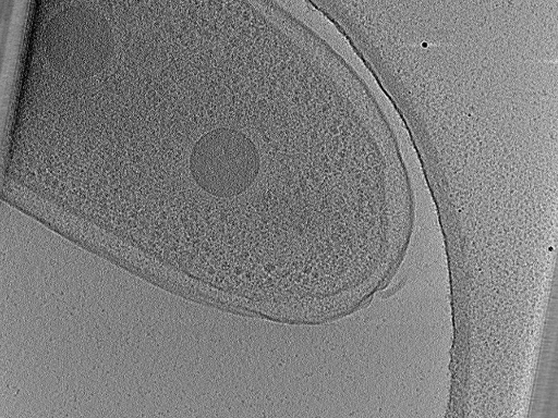 key visualization for aba2015-02-23-18