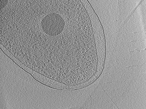 key visualization for aba2015-02-23-2