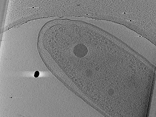 key visualization for aba2015-02-23-20