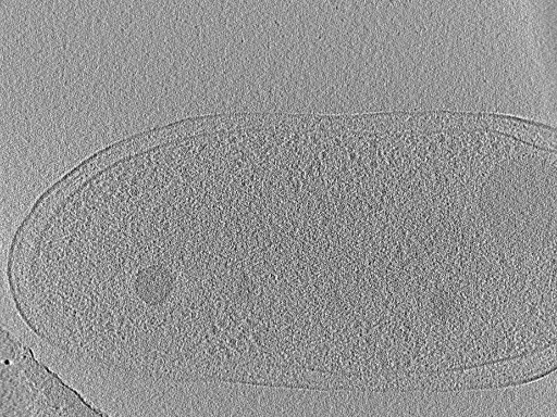 key visualization for aba2015-02-23-21