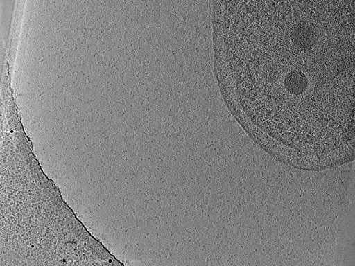 key visualization for aba2015-02-23-23