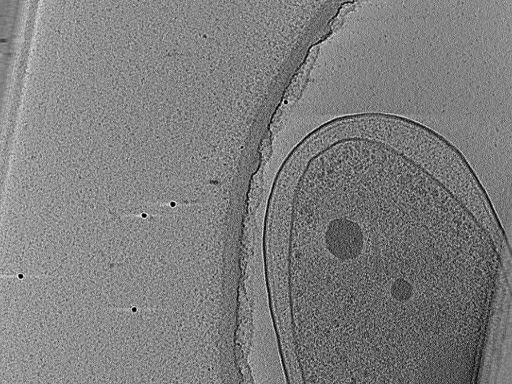 key visualization for aba2015-02-23-25