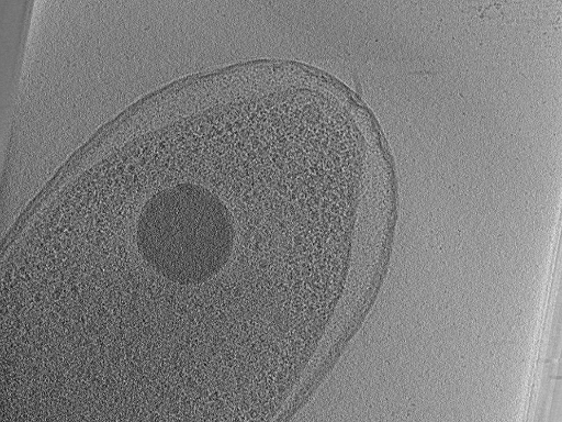 key visualization for aba2015-02-23-33