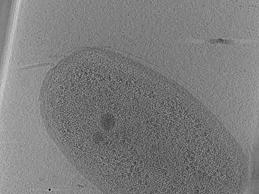 key visualization for aba2015-02-23-34